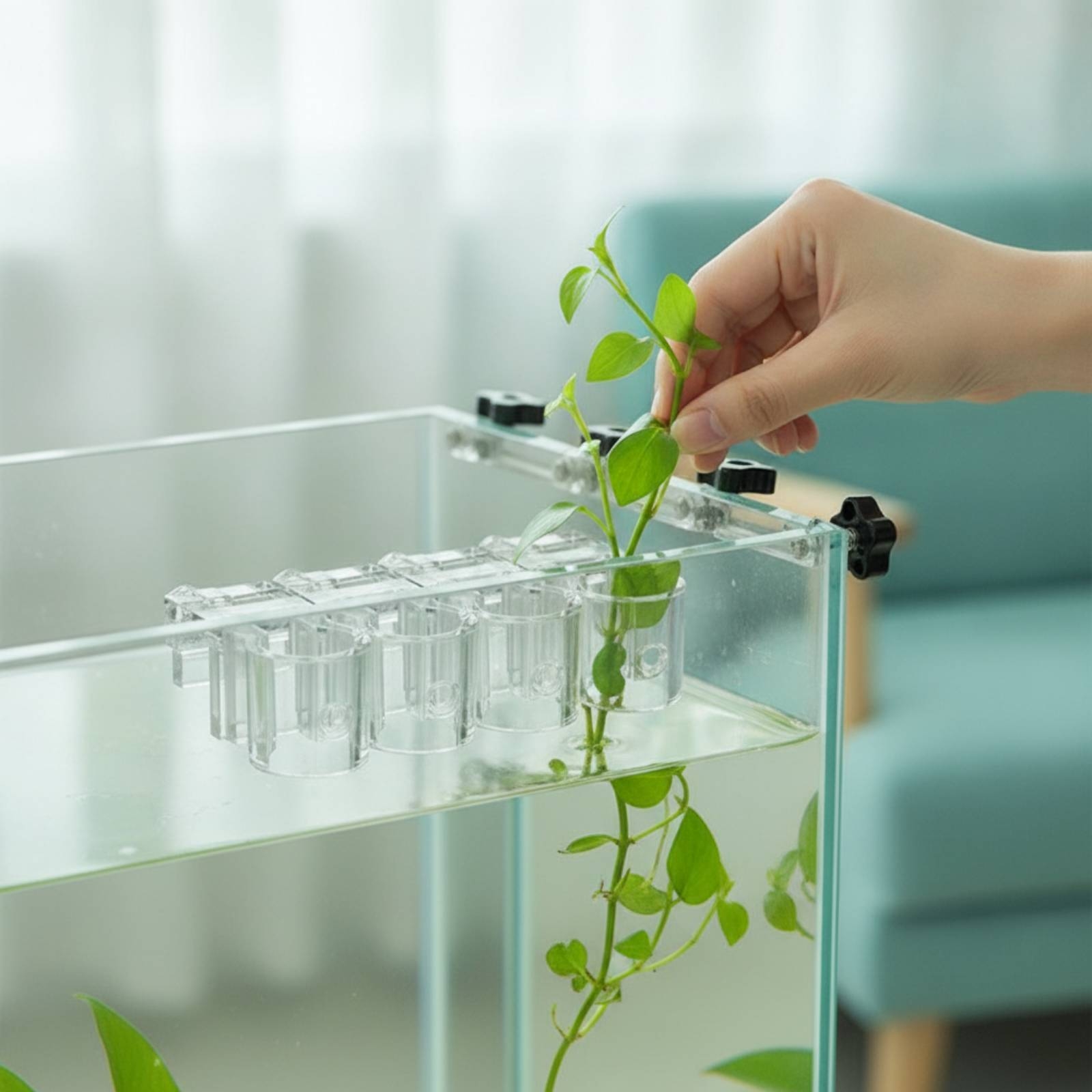 Aquarium Plant Original - Lot de 6 supports transparents pour
