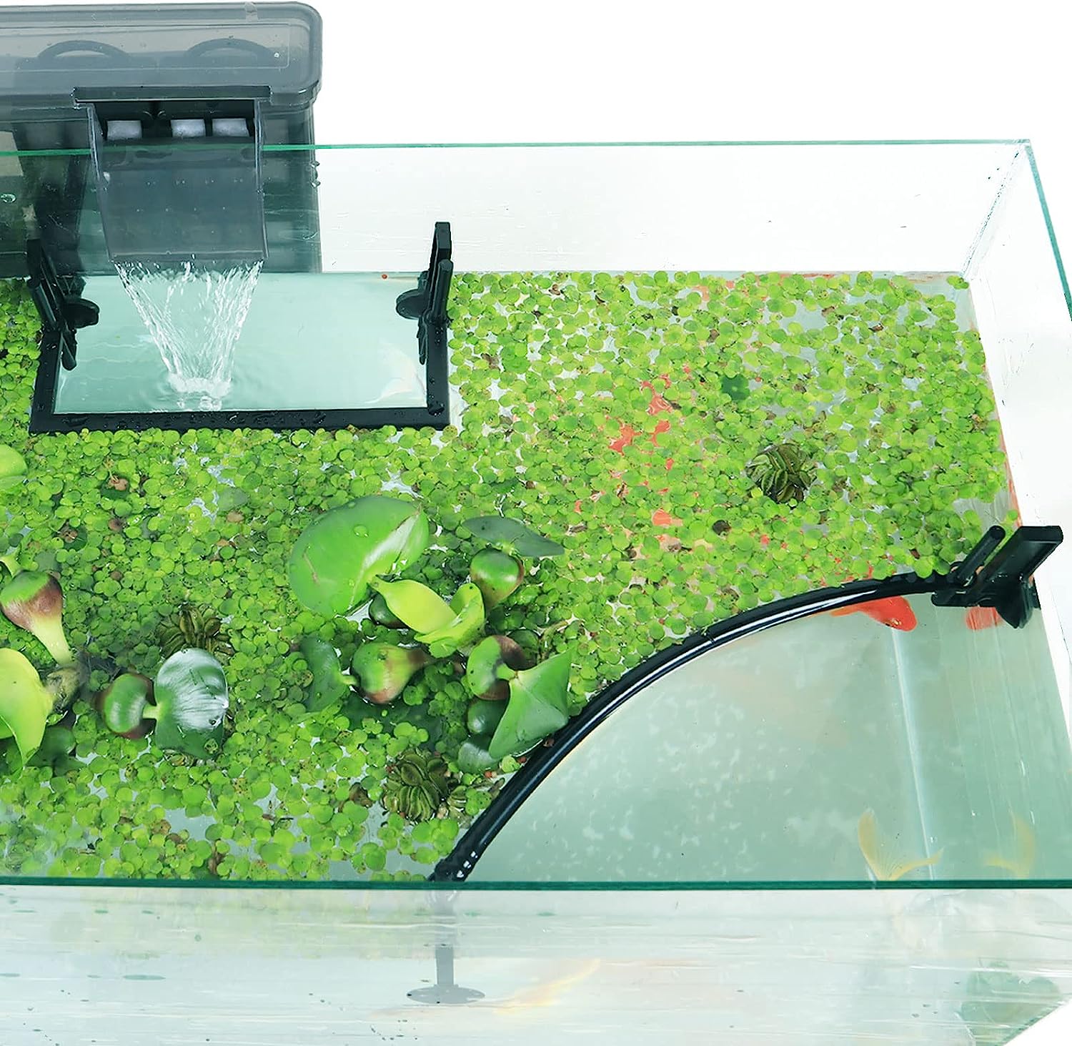 Planted Aquarium Heater - Corral de plantes flottantes pour aquarium,