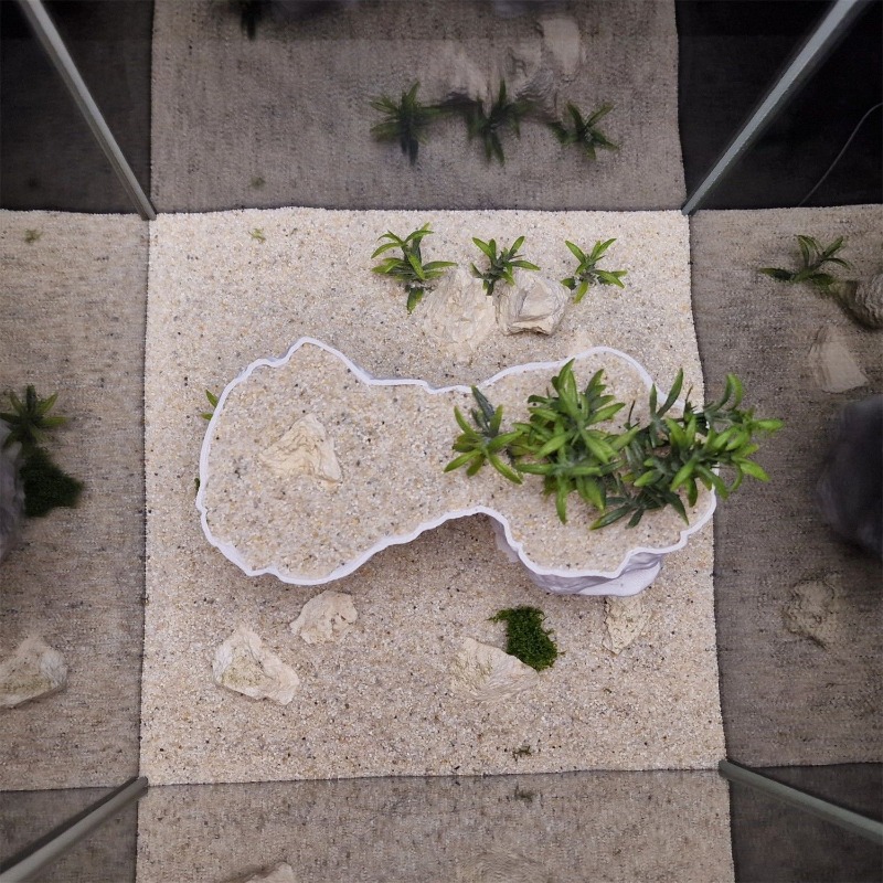 Panier de plantation 3D imprim - Aquarium Planted Tank Soil avis et prix