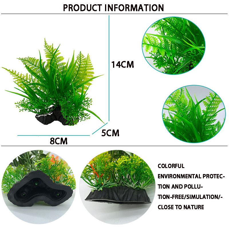 Décoration d'aquarium de plant - Aquarium Plant Varieties avis et prix
