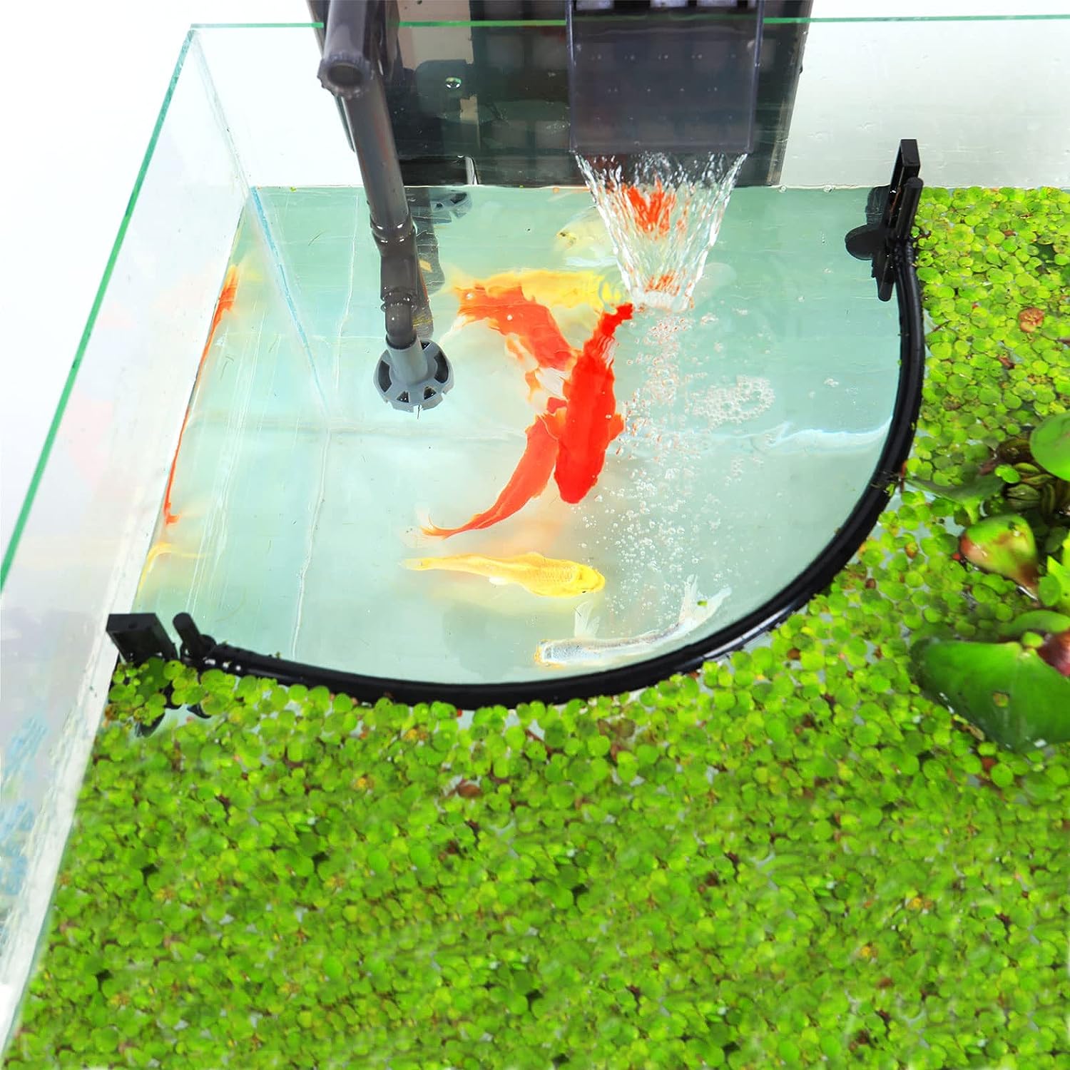 Corral de plantes flottantes p - Planted Aquarium Heater avis et prix