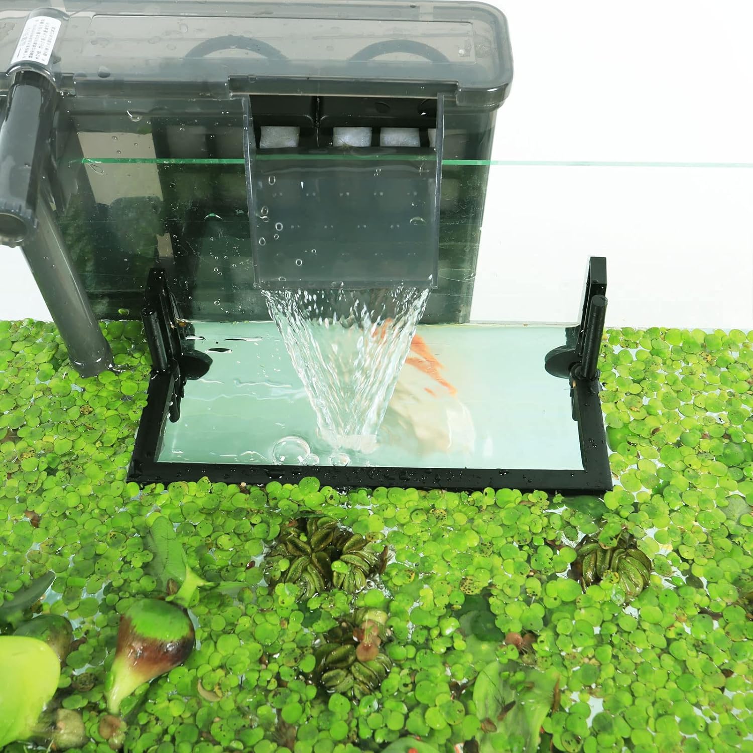 Corral de plantes flottantes p - Planted Aquarium Heater avis et prix