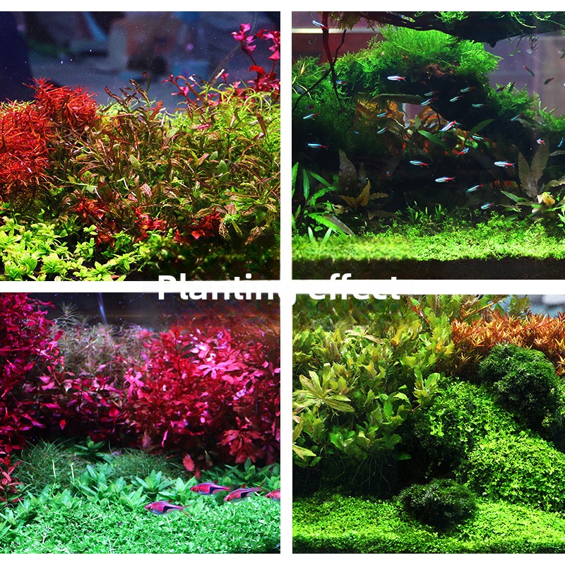 SYSENCIAGA – substrat d'aquari - Aquarium Planted Tank Soil avis et prix