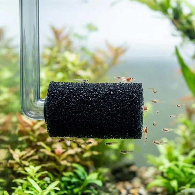 50/5x Éponge pré-filtre pour a - Aquarium Planted Filter avis et prix
