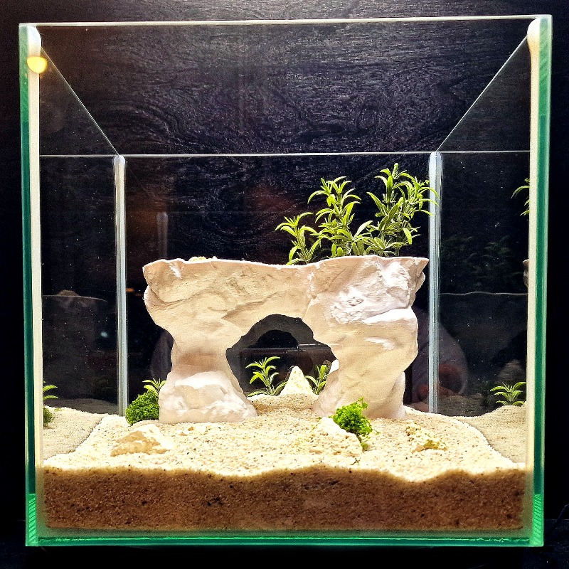 Panier de plantation d'aquariu - Aquarium Planted Tank Soil avis et prix