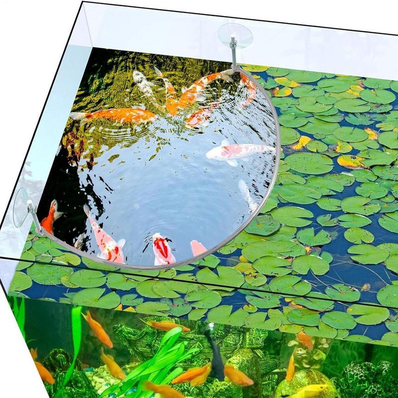 Anneau d'alimentation pour poi - Aquarium Planted Filter avis et prix